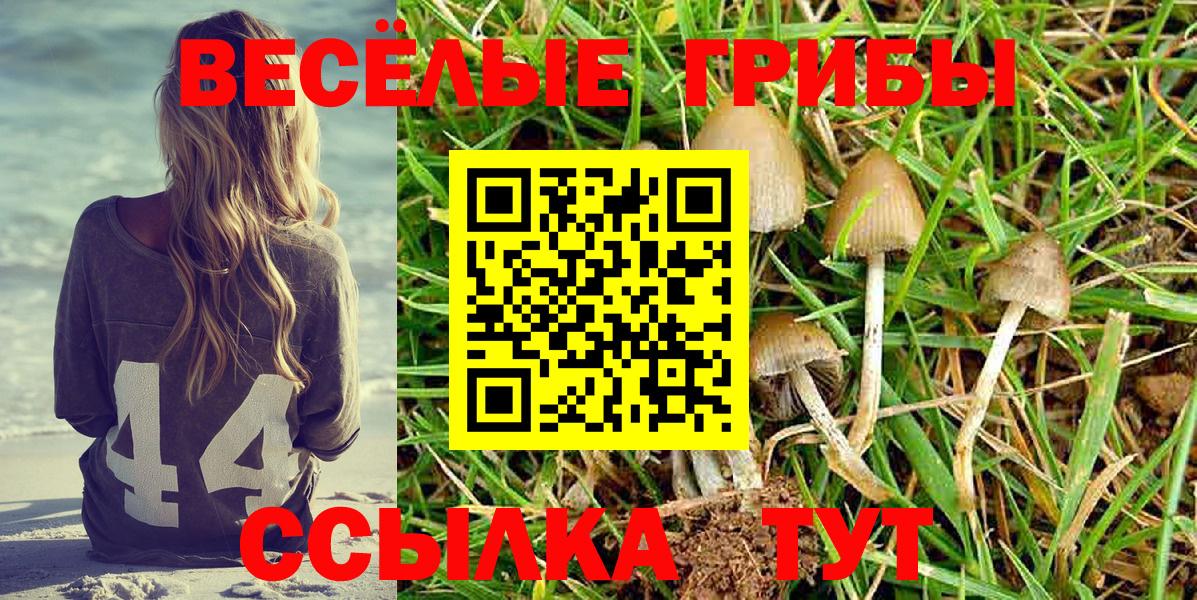 Ачхой-Мартан  Галлюциногенные грибы GOLDEN TEACHER  Вход с VPN 