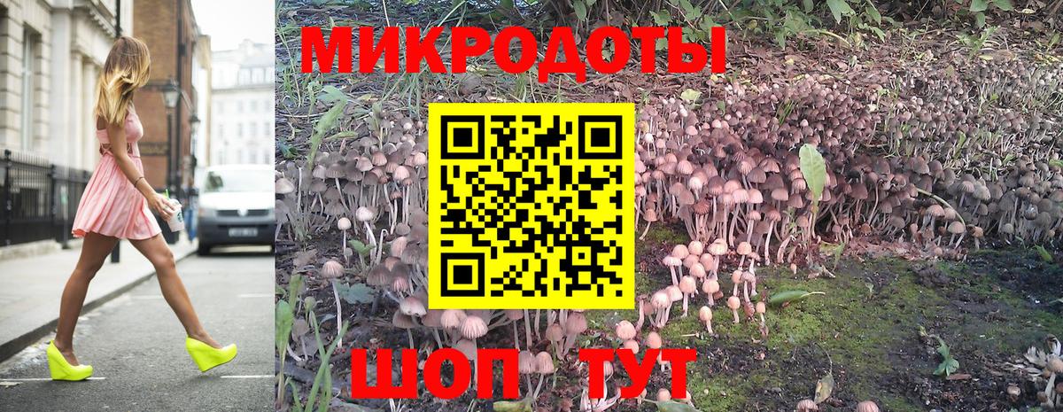 A PVP Ачхой-Мартан